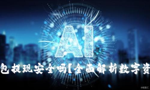 比特币钱包提现安全吗？全面解析数字资产安全性