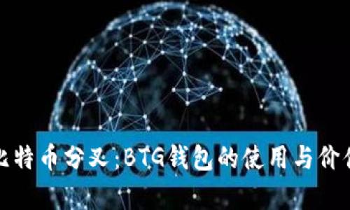 探索比特币分叉:BTG钱包的使用与价值分析