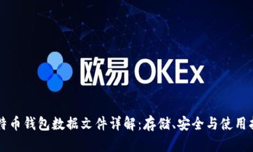 比特币钱包数据文件详解：存储、安全与使用指南
