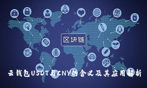 云钱包USDT与CNY的含义及其应用解析