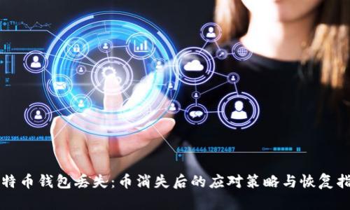 比特币钱包丢失:币消失后的应对策略与恢复指南