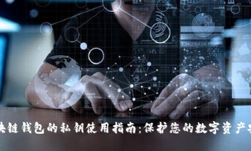 区块链钱包的私钥使用指南:保护您的数字资产安全