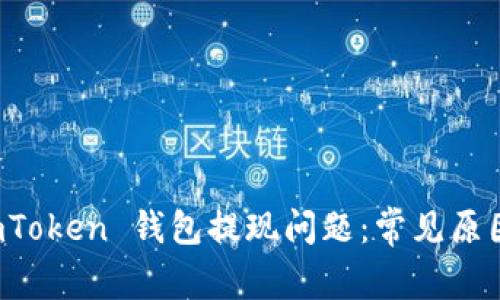 如何解决 imToken 钱包提现问题:常见原因与解决方案