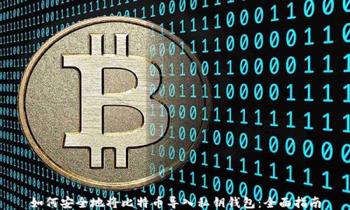 
如何安全地将比特币导入私钥钱包：全面指南