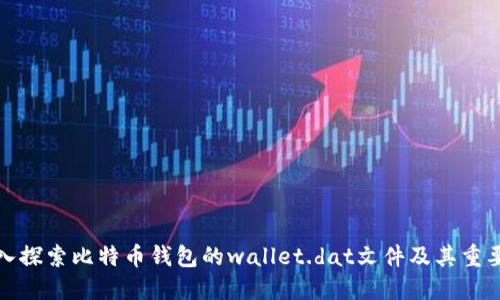 深入探索比特币钱包的wallet.dat文件及其重要性