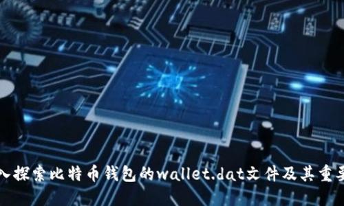 深入探索比特币钱包的wallet.dat文件及其重要性