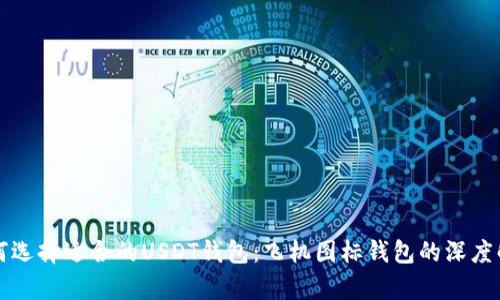 如何选择适合的USDT钱包:飞机图标钱包的深度解析