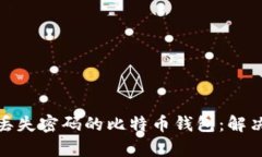 : 如何恢复丢失密码的比特