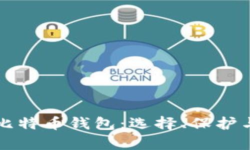 深入解析比特币钱包：选择、保护与使用指南