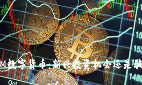 : IM数字货币：新兴投资机会还是骗局？