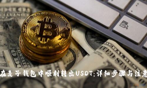 如何在麦子钱包中顺利转出USDT:详细步骤与注意事项