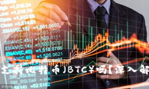 ImToken钱包支持比特币（BTC）吗？深入解析与使用指南