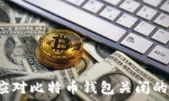   如何应对比特币钱包关闭