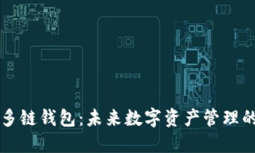 SV区块链多链钱包：未来数字资产管理的解决方案