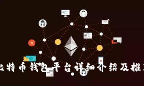 比特币钱包平台详细介绍及推荐