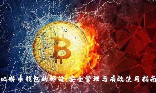 比特币钱包的邮箱：安全管理与有效使用指南