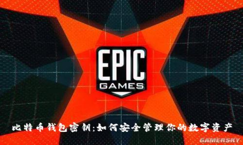 比特币钱包密钥:如何安全管理你的数字资产