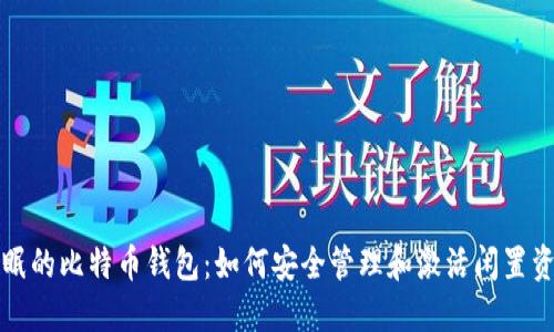 休眠的比特币钱包:如何安全管理和激活闲置资产