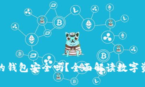 存虚拟币的钱包安全吗?全面解读数字资产安全性