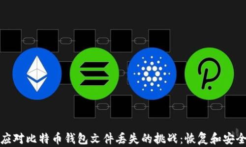 
如何应对比特币钱包文件丢失的挑战：恢复和安全策略