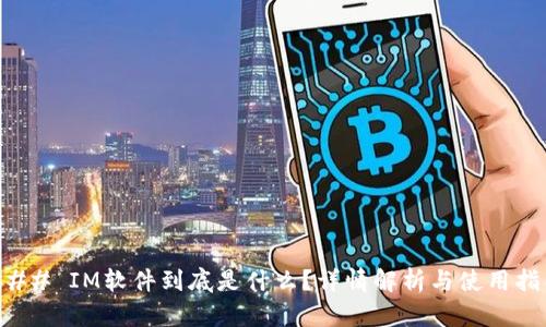 ### IM软件到底是什么?详情解析与使用指导