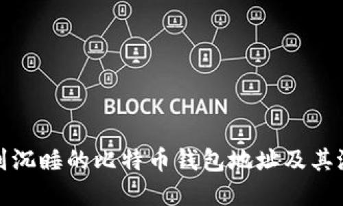 如何找到沉睡的比特币钱包地址及其潜在价值