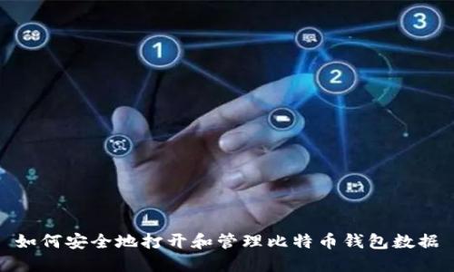 如何安全地打开和管理比特币钱包数据