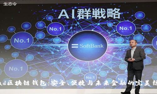 iPad区块链钱包:安全、便捷与未来金融的完美结合