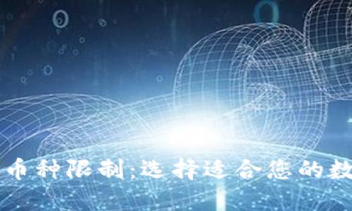 虚拟货币钱包的币种限制:选择适合您的数字资产管理工具