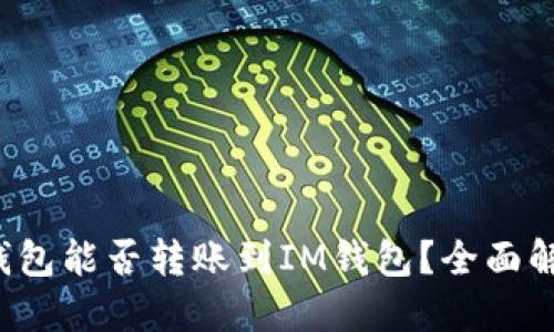 比特币钱包能否转账到IM钱包?全面解读与指南