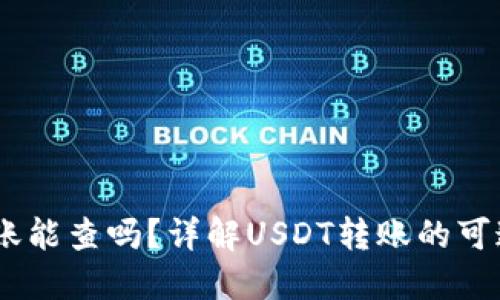 USDT私人钱包转账能查吗?详解USDT转账的可追溯性与隐私保护