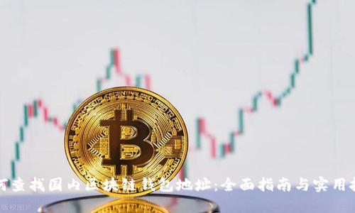 如何查找国内区块链钱包地址：全面指南与实用技巧