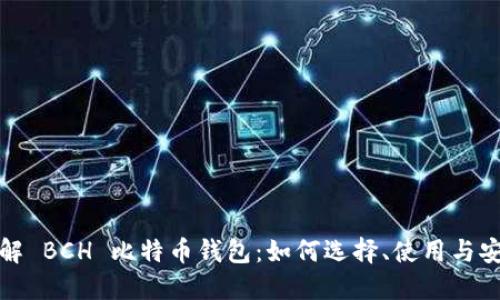 深入了解 BCH 比特币钱包:如何选择、使用与安全措施