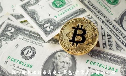 
深入解析比特币与电子钱包：你需要了解的一切