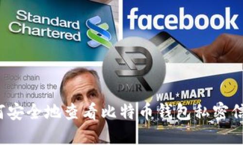 如何安全地查看比特币钱包私密信息?
