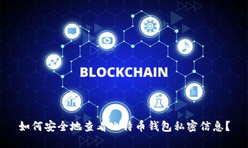 如何安全地查看比特币钱包私密信息?