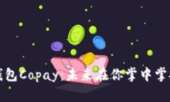 “比特币手机钱包Copay：未