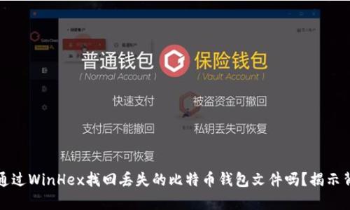 你真的能通过WinHex找回丢失的比特币钱包文件吗？揭示背后的秘密