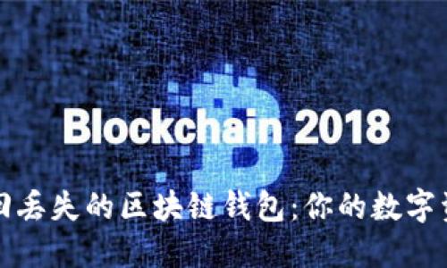 如何轻松找回丢失的区块链钱包：你的数字资产救援指南