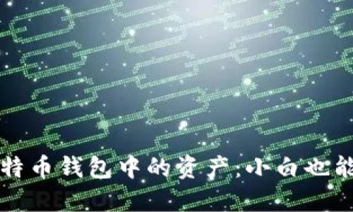 如何安全提现比特币钱包中的资产：小白也能轻松上手的指南