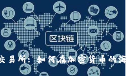 区块链钱包与交易所: 如何在加密货币的海洋中安全导航？