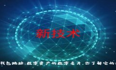 区块链钱包地址：数字资