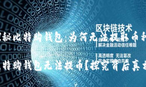 探秘比特购钱包：为何无法提取币种？

比特购钱包无法提币？探究背后真相！