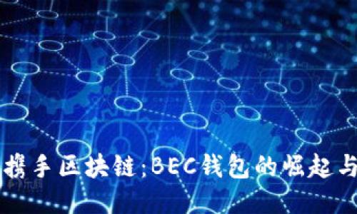 美图携手区块链：BEC钱包的崛起与未来