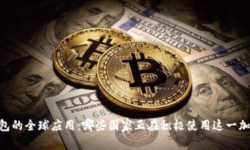 USDT钱包的全球应用：哪些国家正在积极使用这一加密货币？