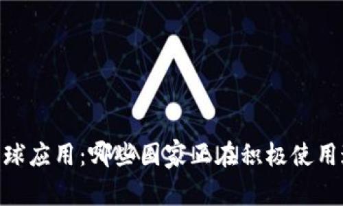 USDT钱包的全球应用：哪些国家正在积极使用这一加密货币？