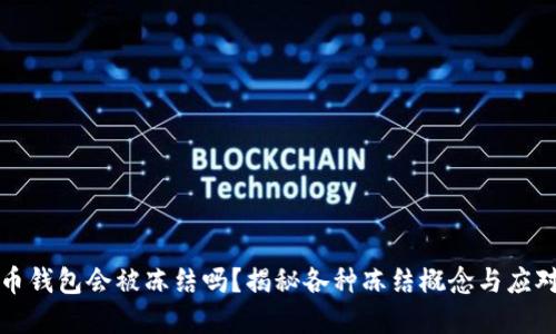 虚拟币钱包会被冻结吗？揭秘各种冻结概念与应对策略