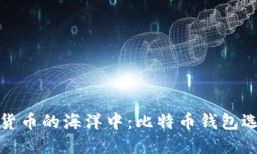 在数字货币的海洋中：比特币钱包选择指南