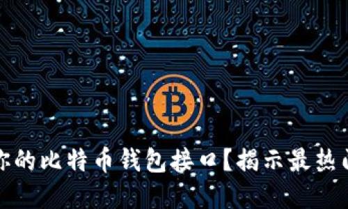 如何选择适合你的比特币钱包接口？揭示最热门的选择与建议