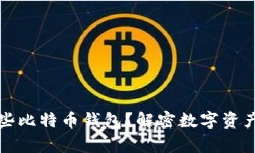 一个人可以拥有哪些比特币钱包？解密数字资产的多样性与安全性